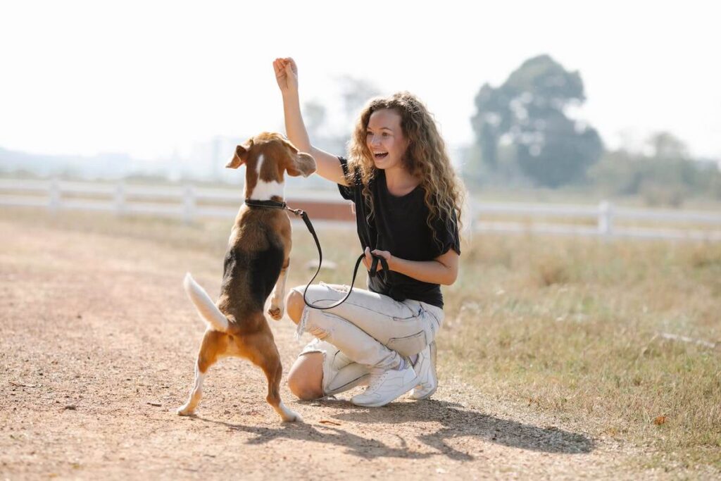 「犬系男子」とは？特徴やアプローチ方法を解説！