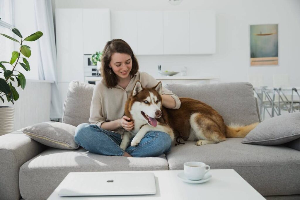 「犬系男子」とは？特徴やアプローチ方法を解説！