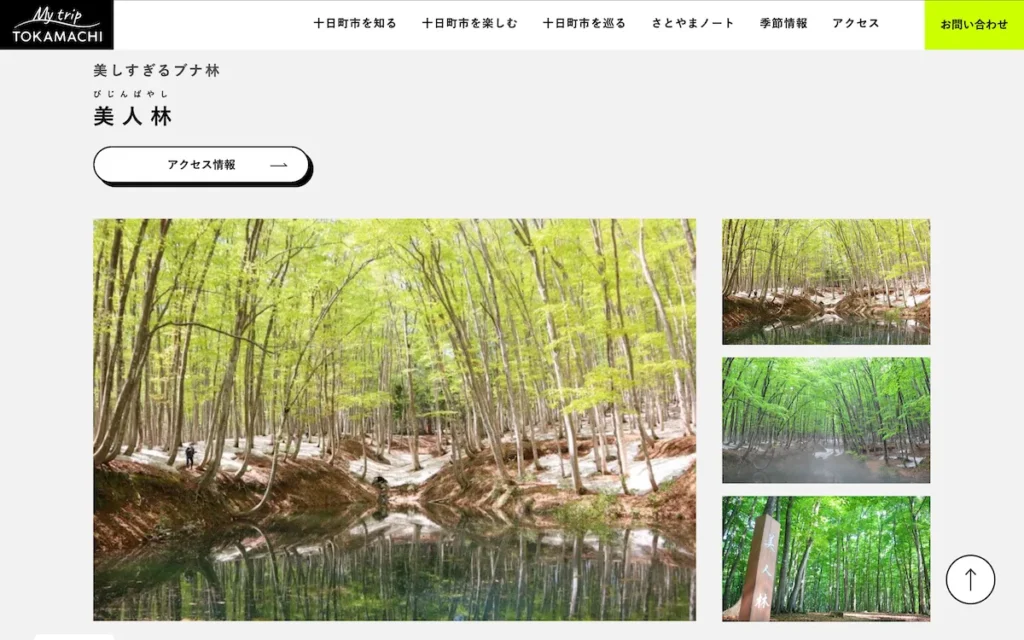 「新潟県」でオススメ!インスタ映え観光スポット5選【都道府県別特集】
