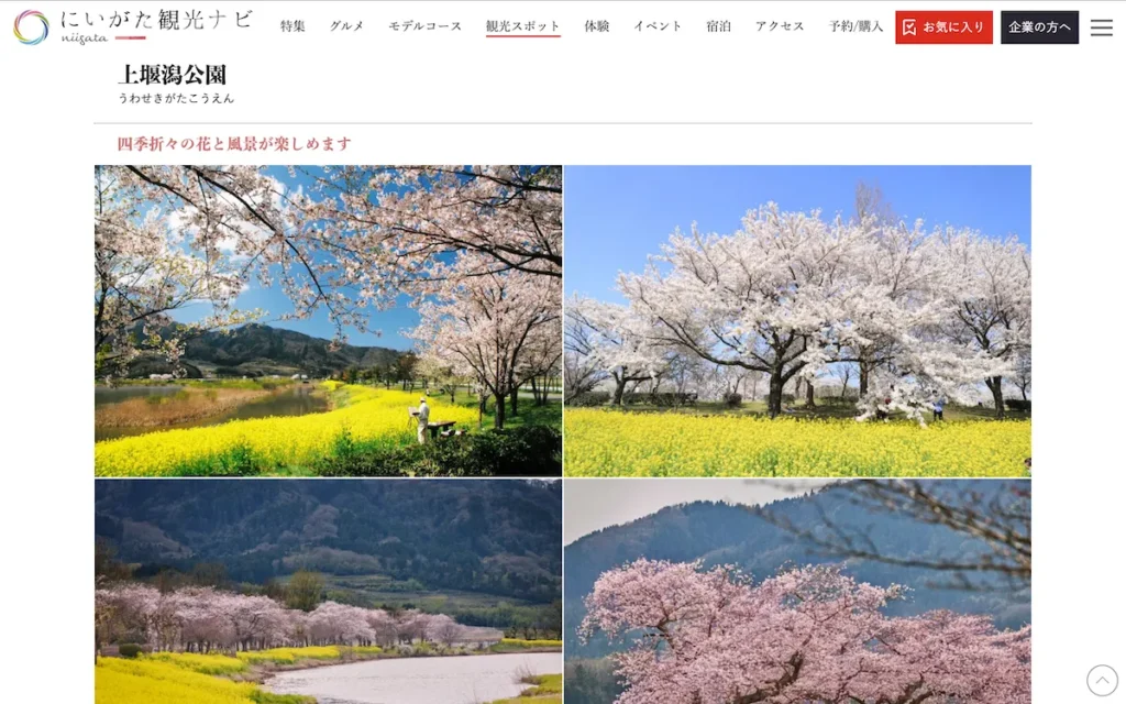 「新潟県」でオススメ!インスタ映え観光スポット5選【都道府県別特集】
