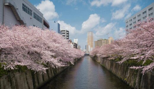 春デートで行きたい！おすすめのお花見スポット5選【都内編】