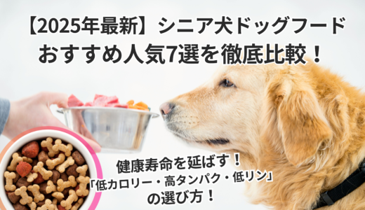 【2025年最新】シニア犬ドッグフードおすすめ人気7選を徹底比較！健康寿命を延ばす「低カロリー・高タンパク・低リン」の選び方